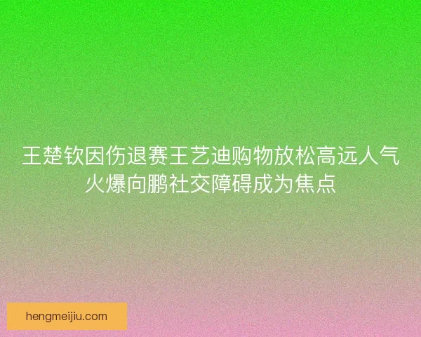 王楚钦因伤退赛王艺迪购物放松高远人气火爆向鹏社交障碍成为焦点 王楚钦因伤退赛王艺迪购物放松高远人气火爆向鹏社交障碍成为焦点